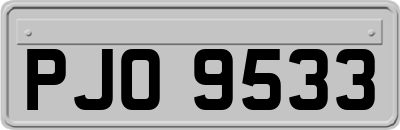 PJO9533