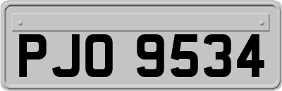 PJO9534