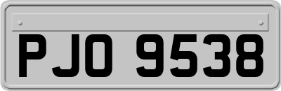 PJO9538