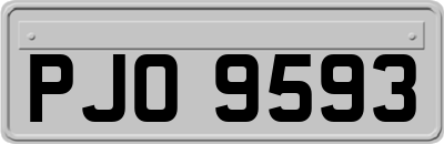 PJO9593