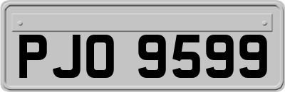 PJO9599