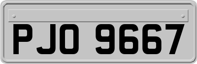 PJO9667