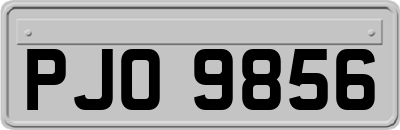 PJO9856