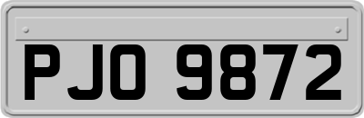 PJO9872