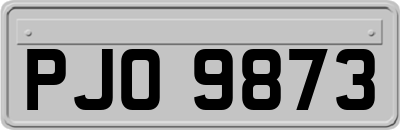 PJO9873