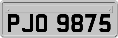 PJO9875