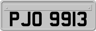 PJO9913