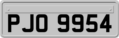 PJO9954