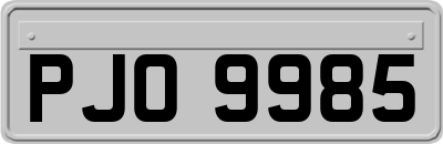 PJO9985