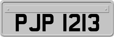 PJP1213