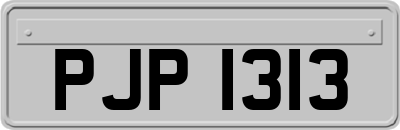 PJP1313