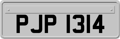 PJP1314