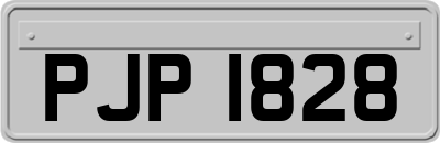 PJP1828