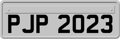 PJP2023
