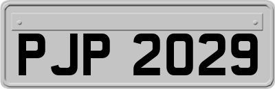 PJP2029