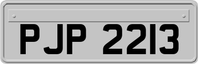 PJP2213