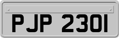 PJP2301