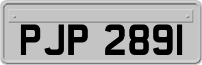 PJP2891