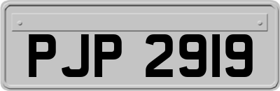 PJP2919