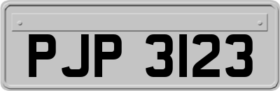 PJP3123