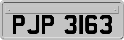 PJP3163