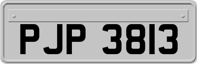 PJP3813