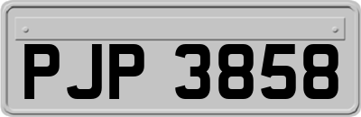 PJP3858