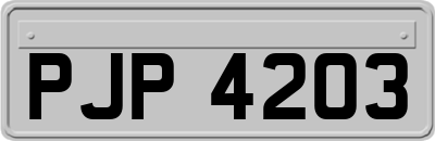 PJP4203