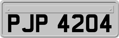 PJP4204