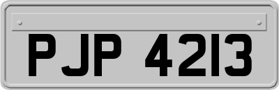 PJP4213