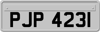 PJP4231
