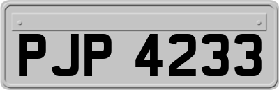 PJP4233