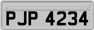 PJP4234
