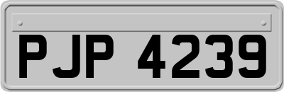 PJP4239