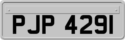 PJP4291