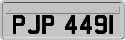 PJP4491
