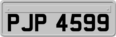 PJP4599
