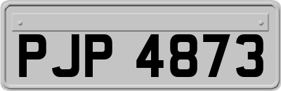 PJP4873