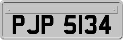 PJP5134