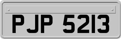 PJP5213