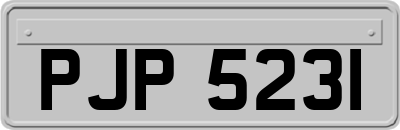 PJP5231