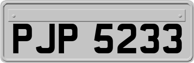 PJP5233