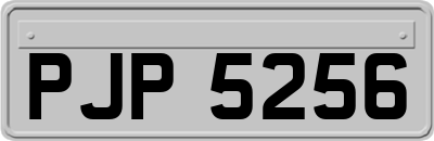 PJP5256