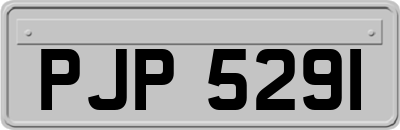 PJP5291