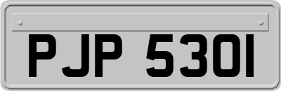 PJP5301