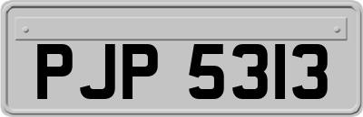 PJP5313
