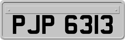 PJP6313