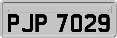 PJP7029