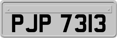 PJP7313
