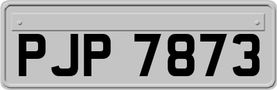 PJP7873